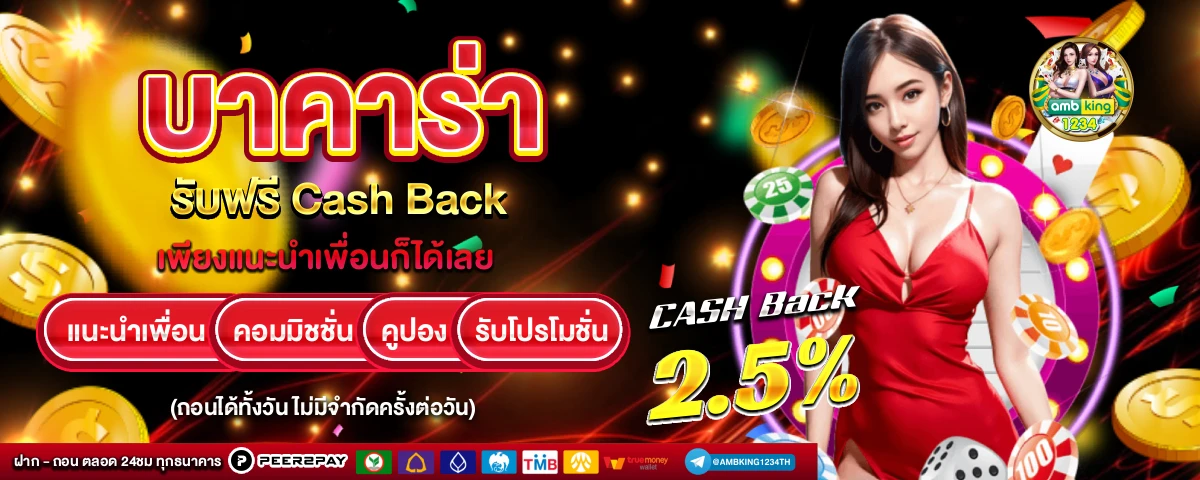 เว็บใหม่ - แบนเนอร์โปรโมชั่น